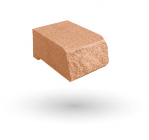 SALMÓN